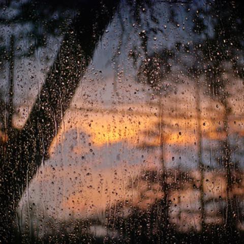 image rain_lr_0003-jpg
