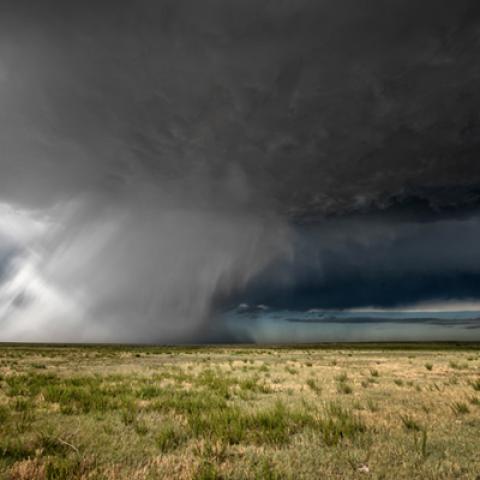 image rain_lr_0005-jpg