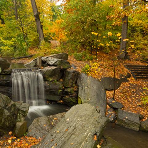 image rivers_hr_0002-jpg