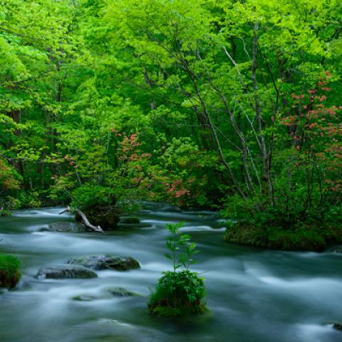 image rivers_hr_0003-jpg