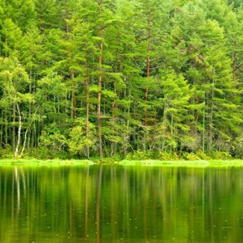 image rivers_hr_0004-jpg