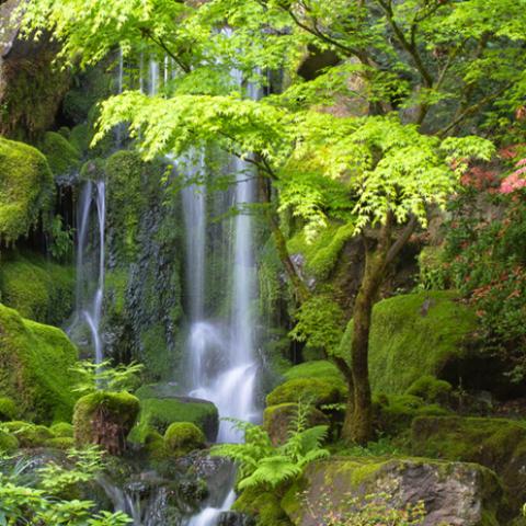 image rivers_hr_0006-jpg