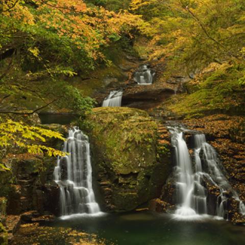 image rivers_hr_0007-jpg