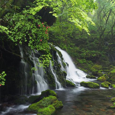 image rivers_hr_0008-jpg