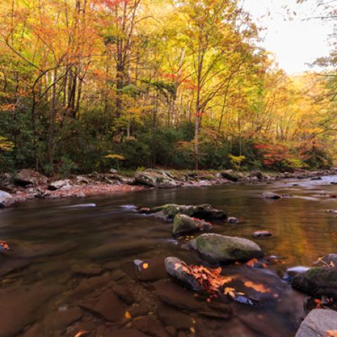 image rivers_hr_0018-jpg