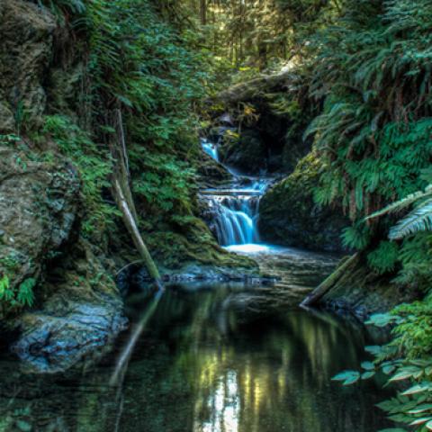 image rivers_hr_0019-jpg