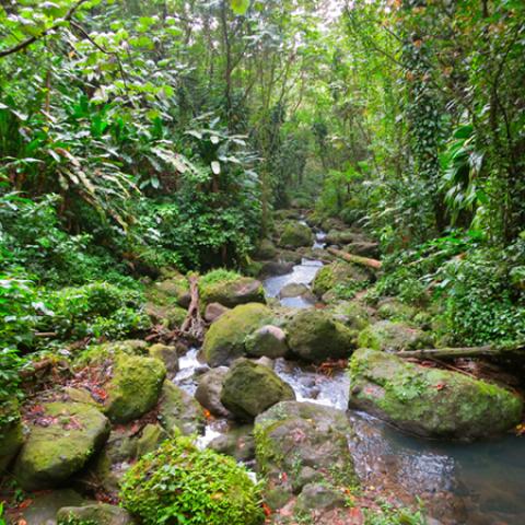 image rivers_hr_0020-jpg