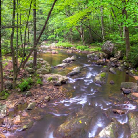 image rivers_hr_0022-jpg