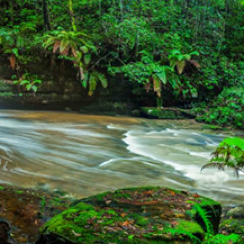 image rivers_hr_0025-jpg