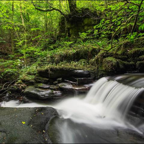 image rivers_lr_0001-jpg