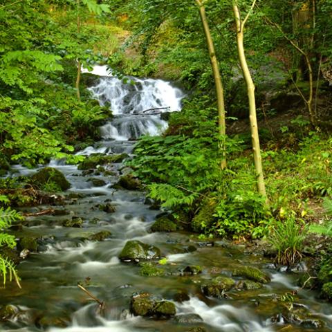 image rivers_lr_0002-jpg