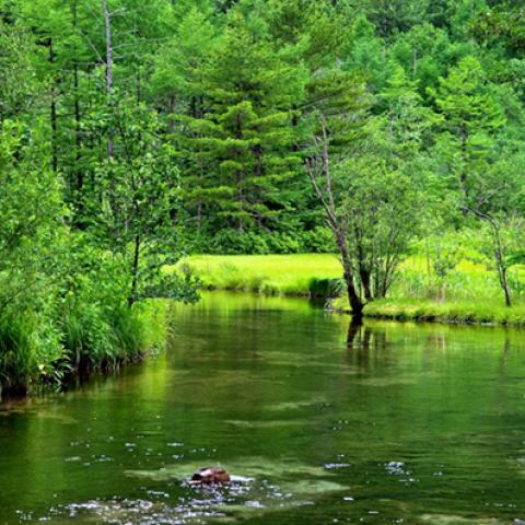 image rivers_lr_0003-jpg