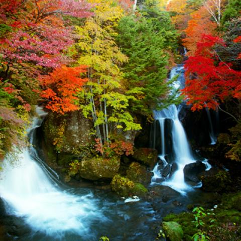 image rivers_lr_0005-jpg