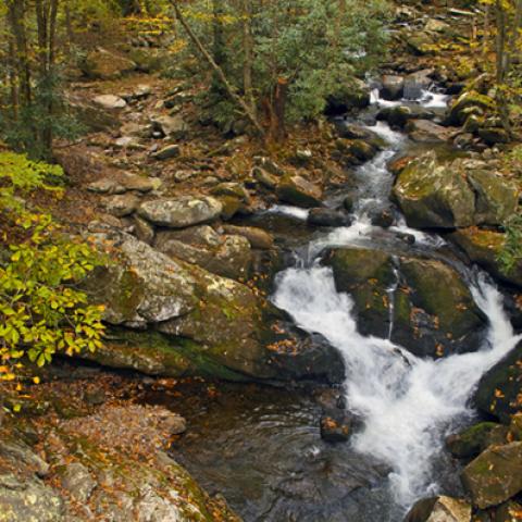 image rivers_lr_0008-jpg