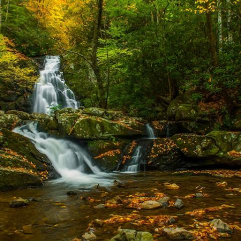 image rivers_lr_0009-jpg