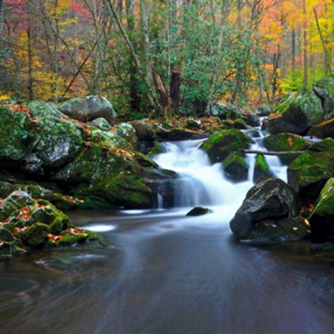 image rivers_lr_0010-jpg