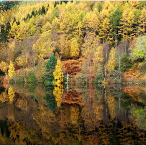 image rivers_lr_0013-jpg
