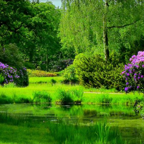 image rivers_lr_0014-jpg