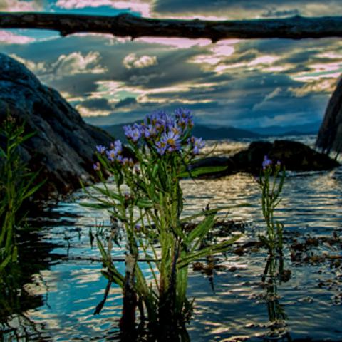 image rivers_lr_0020-jpg