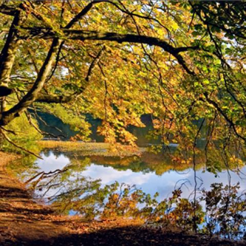 image rivers_lr_0022-jpg