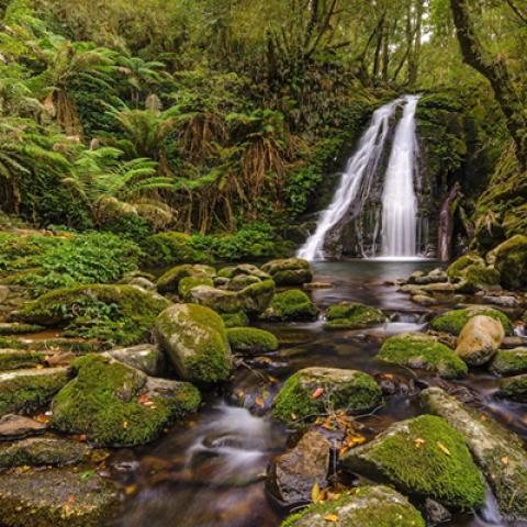 image rivers_lr_0023-jpg