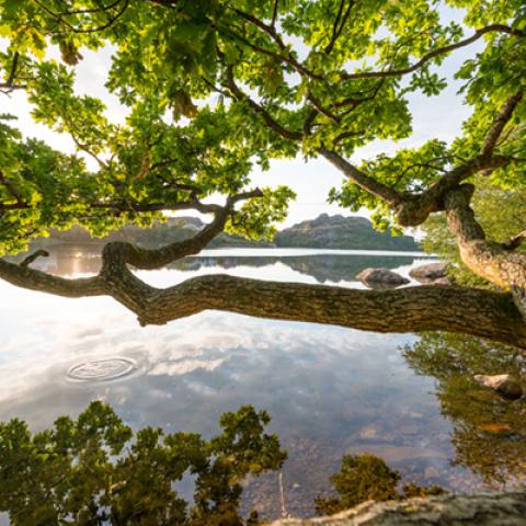 image rivers_lr_0024-jpg