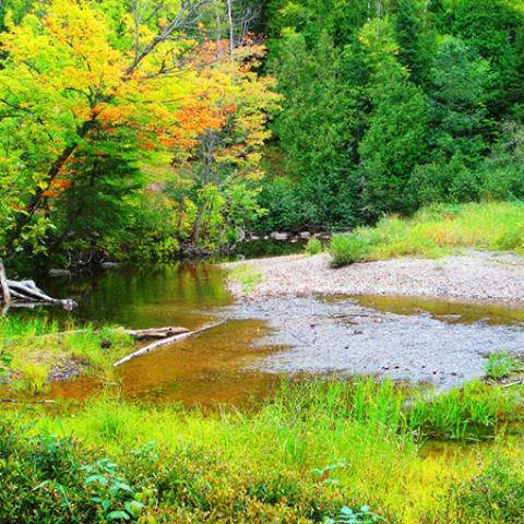 image rivers_lr_0025-jpg