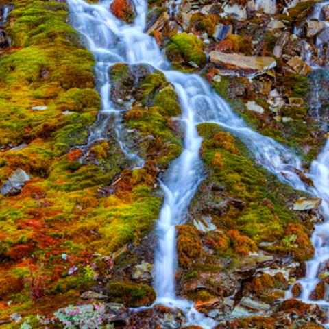 image rivers_lr_0027-jpg