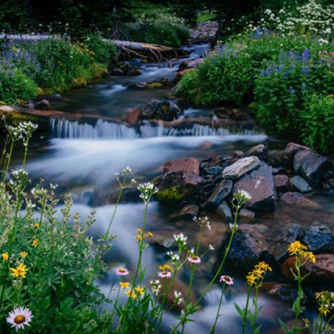 image rivers_lr_0029-jpg