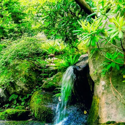 image rivers_lr_0030-jpg