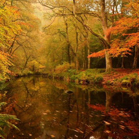 image rivers_lr_0032-jpg