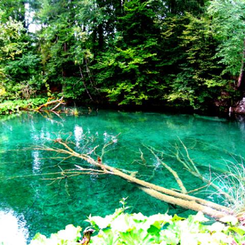 image rivers_lr_0035-jpg