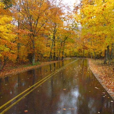 image road_hr_0003-jpg