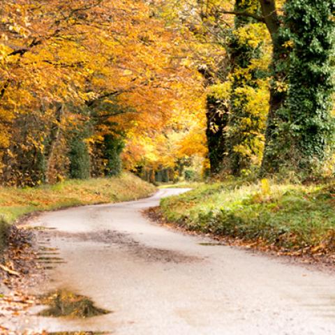 image road_hr_0004-jpg