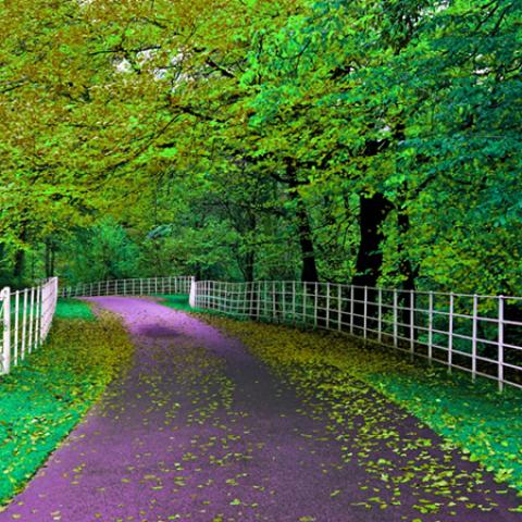 image road_hr_0007-jpg