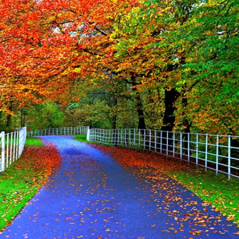 image road_hr_0008-jpg