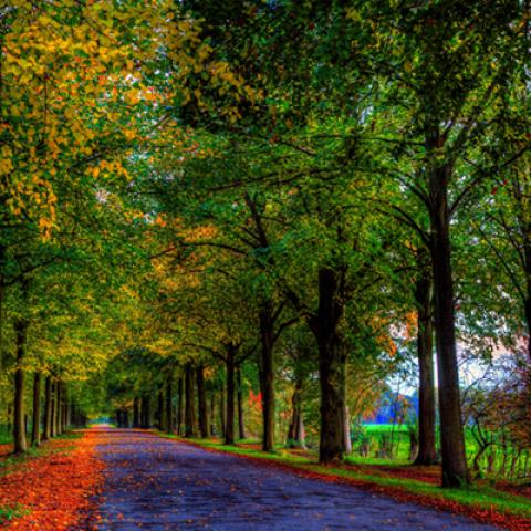 image road_hr_0009-jpg