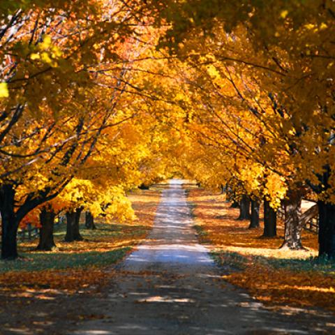 image road_hr_0011-jpg