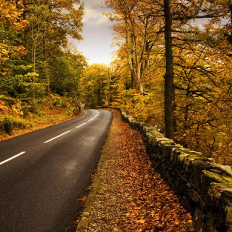 image road_hr_0012-jpg
