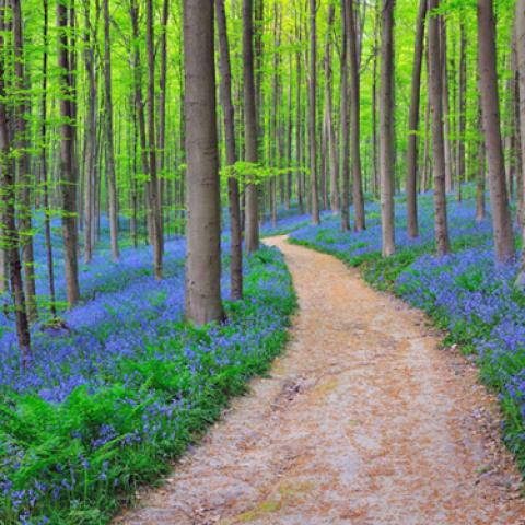 image road_lr_0002-jpg