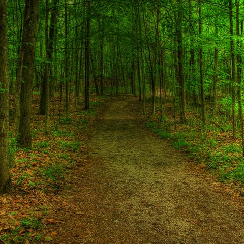 image road_lr_0003-jpg