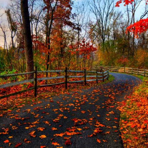 image road_lr_0004-jpg