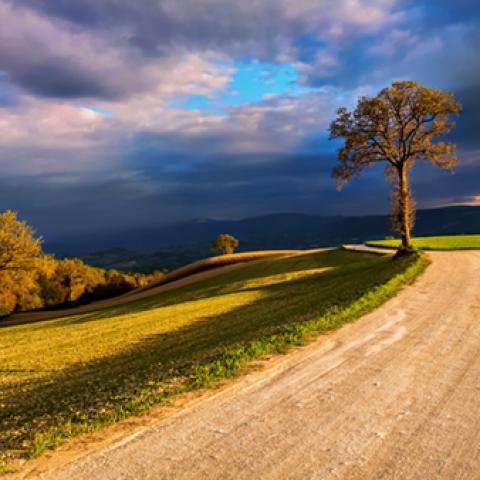 image road_lr_0008-jpg