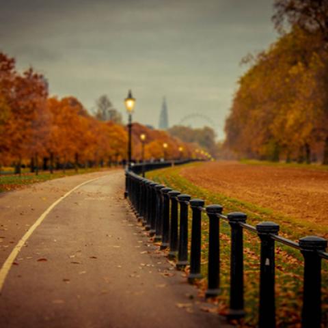 image road_lr_0010-jpg