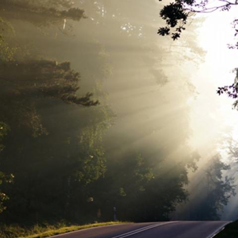 image road_lr_0011-jpg