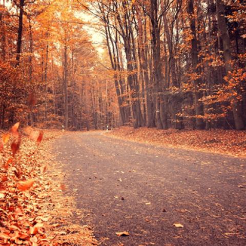 image road_lr_0012-jpg