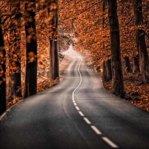image road_lr_0014-jpg