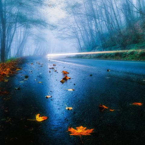 image road_lr_0016-jpg