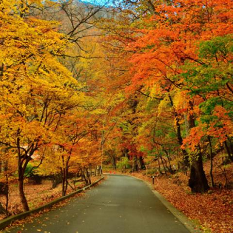 image road_lr_0019-jpg