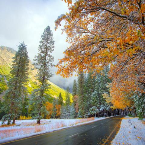 image road_lr_0020-jpg